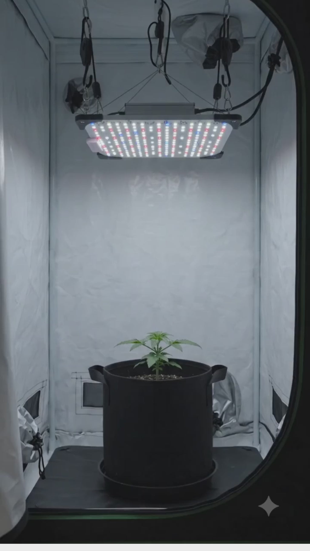 Led 4 ciclyes de Espectro Completo con UV 395nm