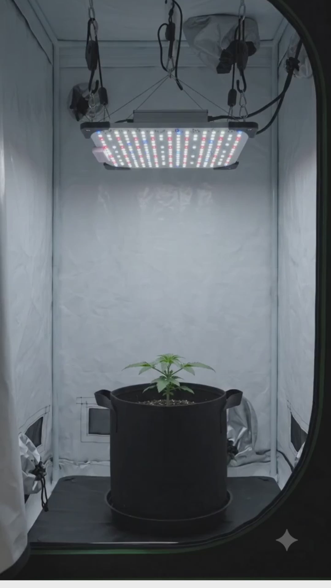 Led 4 ciclyes de Espectro Completo con UV 395nm